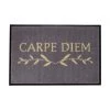 GiftCompany Waschbare Polyamid-Fußmatte Carpe Diem, B 50 x L 75 cm -Teppiche Verkaufsgeschäft Waschbare Polyamid Fussmatte Carpe Diem 1